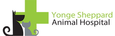 Yonge Sheppard Animal Hospital