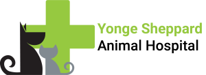 YSAH Logo - Roboto with text