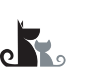 YSAH Logo - White